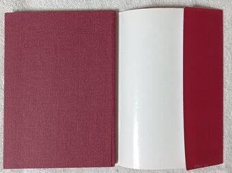 Magia Nigrae ,Kabalistické zasvěcení ,Praktická spagyrie - 6