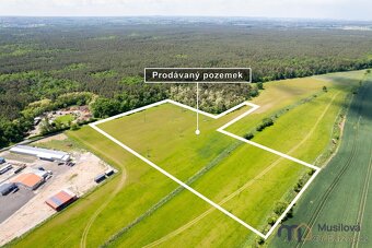 Prodej pole a lesa 84 910 m2 - 6