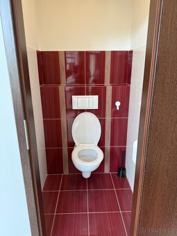 Pronájem bytu 4+kk, Lužná u Rakovníka - 6