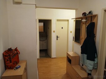 Pronájem 1+1 Brno - 6