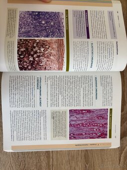Junqueirovy základy histologie - 6