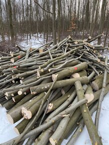 Palivové dřevo tvrdé,měkké.. - 6