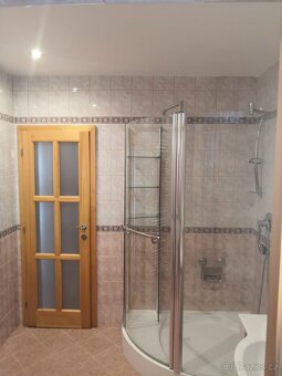 Pronájem většího bytu 2+1 (60m2) - 6