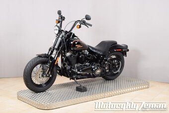 Harley-Davidson FLSTSB Softail Cross Bones 2009 - 6