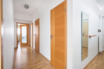 Prodej velkého bytu Plzeň - 6