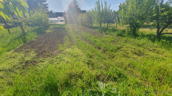 Prodej RD 4+2,garáž,vejminek, poz.771m2, Židovice u RCE - 6