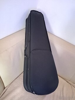 Viola - 6