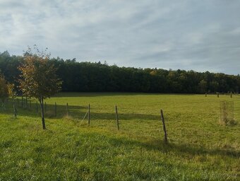 Orná půda oplocená - 6