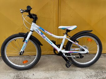 Dívčí kolo Superior Paint 20 s páčkovým řazením - 6