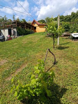 Zahrada Žitenice - 6