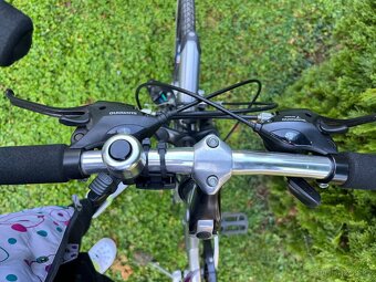 Pegasus dámské kolo - 6