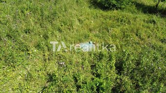 Prodej pozemek Bydlení Raškovice 73904 - 6