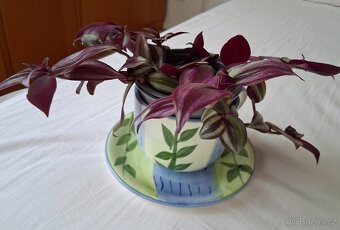 Květina v aranži. - 6