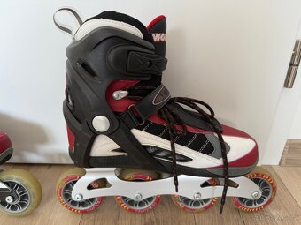 Worker Falcon vel. 43 - 6