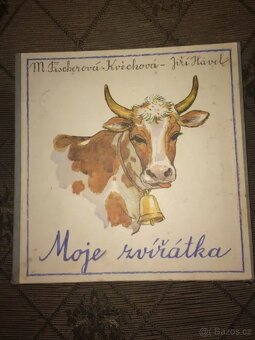 MARIE FISCHEROVÁ KVĚCHOVÁ - 6