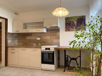 Prodej rodinného domu – bydlení i podnikání v Holešově - 6