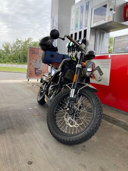 F.b Mondial 125 Hps - 6