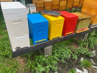Včelí oddělky 2026 Východní Čechy - 6