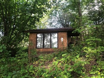 🌲 Prodej lesa se 2 chatami – Vykyřovice u Šumperka - 6