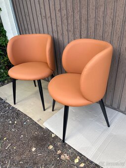 Jídelní židle Mogi - 6