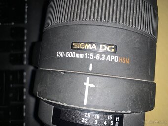 Sigma 150-500 nikon d5000 - 6