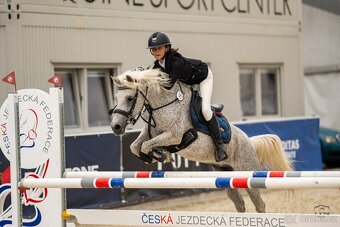 TOP pony klisna do sportu 132cm - 6