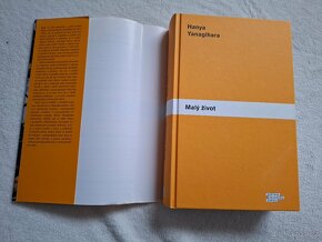 Malý život - Hanya Yanagihara - 6