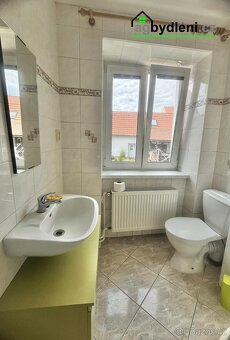Pronájem vybaveného bytu 1+kk, Město Touškov - 6
