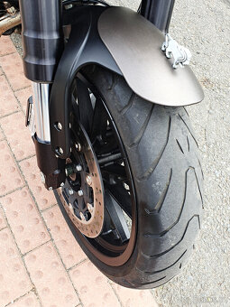 Benelli Leoncino 500 - 6