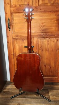 Prodám kytaru C.G.Winner W-710 - 6