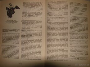 Výchova k sexuálně reprodukčnímu zdraví, Encyklopedie práva - 6