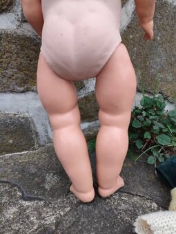 Panenka želva velká - 6