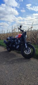 Harley Davidson XR 1200 - 6