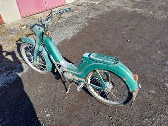 Jawetta 551 - Standard - 6