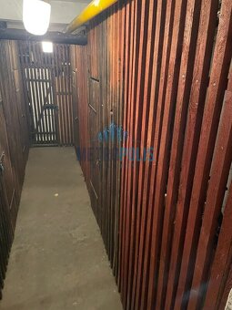 Stylový a světlý byt 3+1 v srdci Košíř – 83,5 m², poslední p - 6