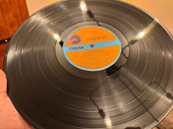 MUDDY WATERS - Fathers And Sons. LP - 6