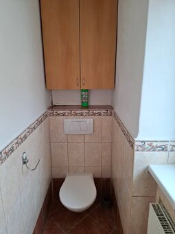 Pronájem bytu 2+1  Vítkov - 6