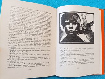 DÍTĚ DIVOČINY - M.K.Rawling - 6