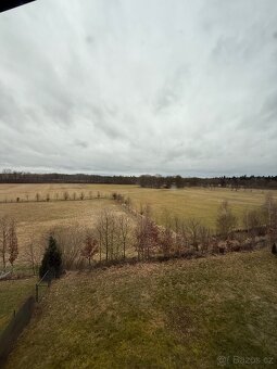 Pronájem pokoje v rodinném domě - 6