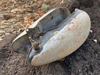 nadrz jawa perak - 6