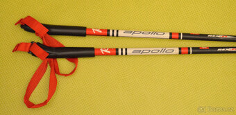 běžky 140cm Sporten (šupiny) NNN - 6