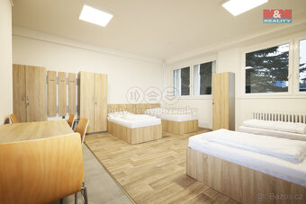 Pronájem ubytovacího zařízení, 300 m², Dalovice, Botanická - 6