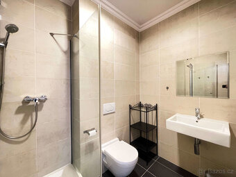 Pronájem bytu 2+kk, 55 m2 + teraca 45 m2 v Praze 3 - Žižkov, - 6