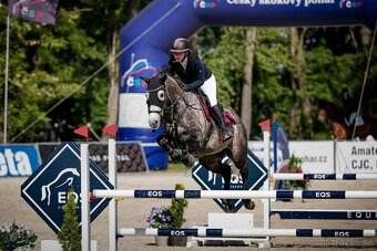 Prodej závodní stáje z důvodu ZDRAVÍ - 6