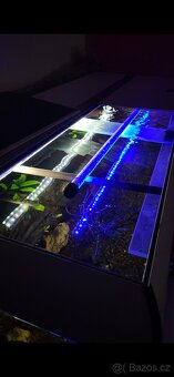 Akvarium 300l - 6