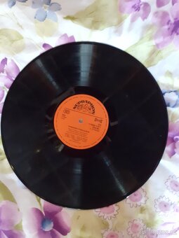 Gramofonové desky pohádky - 6