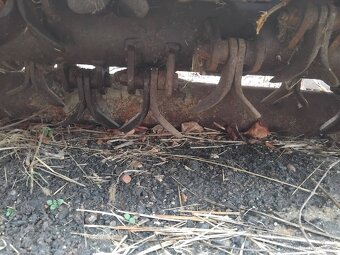 Příkopové rameno - 6