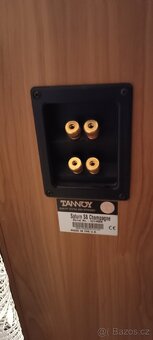 TANNOY Saturn S8 - 6