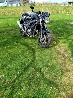 Suzuki SV 650 - 6