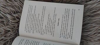 Děs sídla WAKE'S END - 6